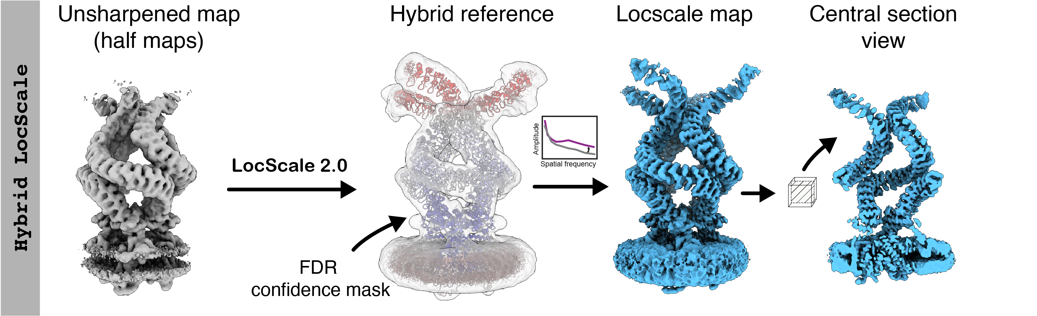 Hybrid LocScale